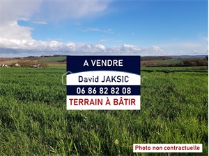 zi-zac à la vente -   77130  MONTEREAU FAULT YONNE, surface 1967 m2 vente zi-zac - UBI422951734